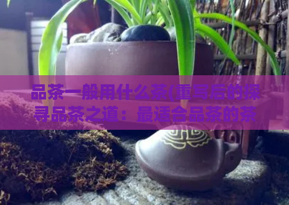品茶一般用什么茶(重写后的探寻品茶之道：最适合品茶的茶叶种类)