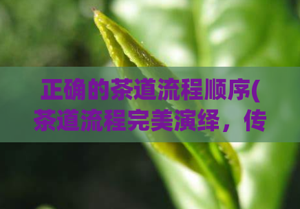 正确的茶道流程顺序(茶道流程完美演绎，传承日本文化之美)