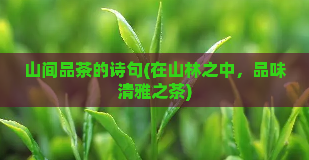 山间品茶的诗句(在山林之中，品味清雅之茶)