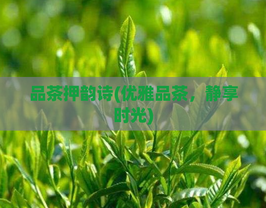 品茶押韵诗(优雅品茶，静享时光)