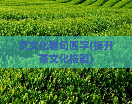 茶文化雅句四字(提升茶文化格调)