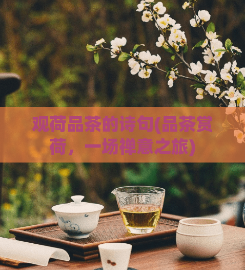 观荷品茶的诗句(品茶赏荷，一场禅意之旅)