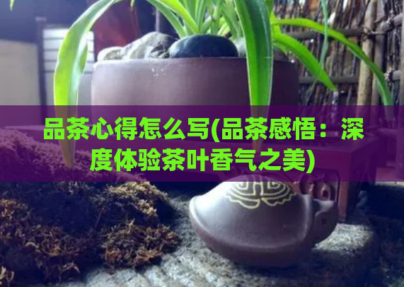 品茶心得怎么写(品茶感悟：深度体验茶叶香气之美)