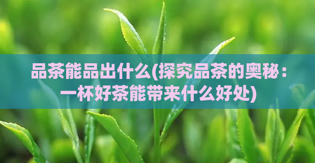 品茶能品出什么(探究品茶的奥秘：一杯好茶能带来什么好处)