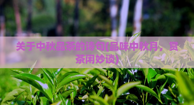 关于中秋品茶的诗句(品味中秋月，赏茶闲妙谈)