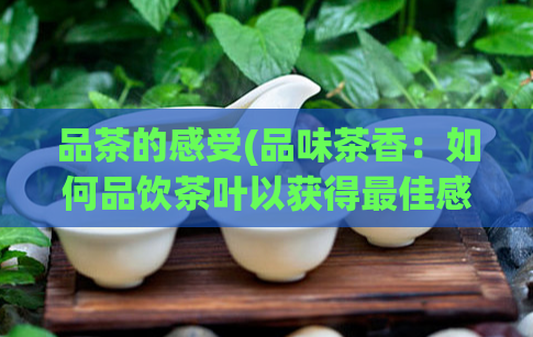 品茶的感受(品味茶香：如何品饮茶叶以获得最佳感受)
