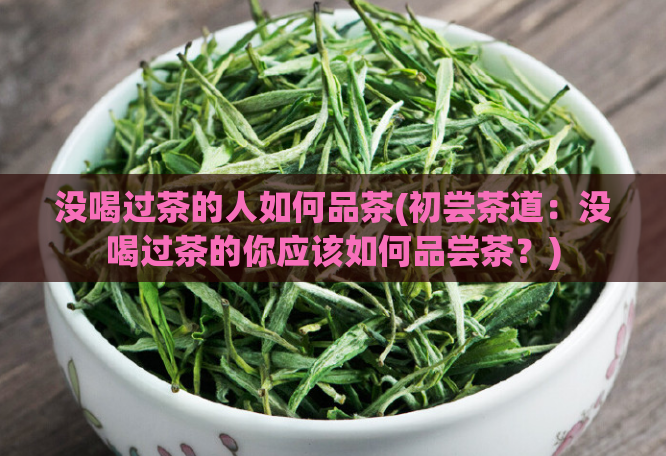 没喝过茶的人如何品茶(初尝茶道：没喝过茶的你应该如何品尝茶？)