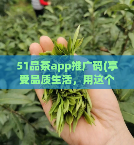51品茶app推广码(享受品质生活，用这个推广码加入51品茶app)