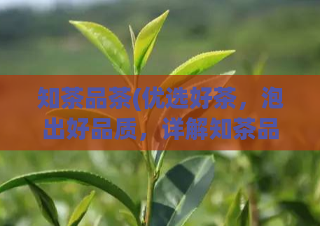 知茶品茶(优选好茶，泡出好品质，详解知茶品茶)