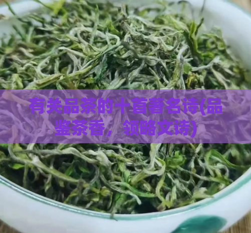 有关品茶的十首著名诗(品鉴茶香，领略文诗)