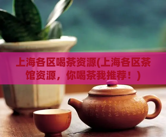上海各区喝茶资源(上海各区茶馆资源，你喝茶我推荐！)