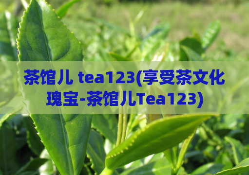 茶馆儿 tea123(享受茶文化瑰宝-茶馆儿Tea123)