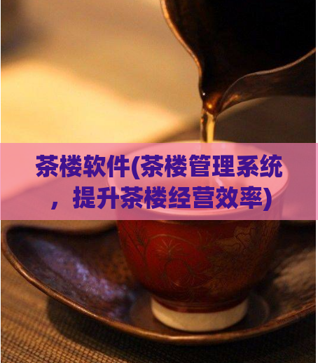 茶楼软件(茶楼管理系统，提升茶楼经营效率)