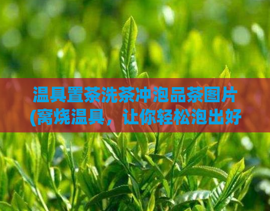 温具置茶洗茶冲泡品茶图片(窝烧温具,让你轻松泡出好茶)