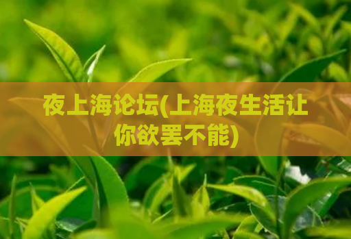 夜上海论坛(上海夜生活让你欲罢不能)