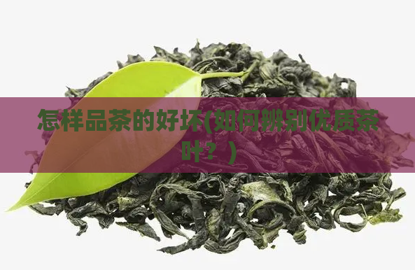 怎样品茶的好坏(如何辨别优质茶叶？)
