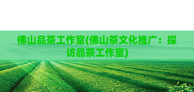 佛山品茶工作室(佛山茶文化推广：探访品茶工作室)