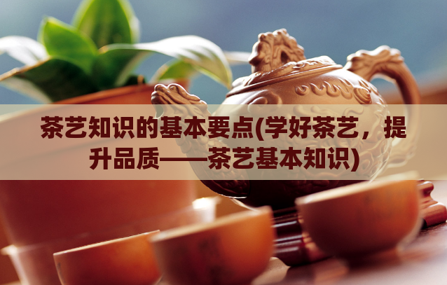 茶艺知识的基本要点(学好茶艺，提升品质——茶艺基本知识)