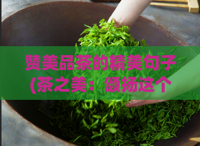 赞美品茶的精美句子(茶之美：颂扬这个精致的饮品)