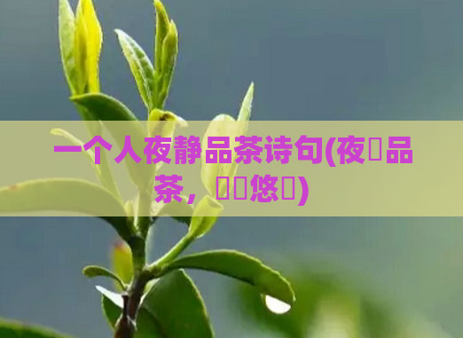 一个人夜静品茶诗句(夜靜品茶，詩韻悠揚)