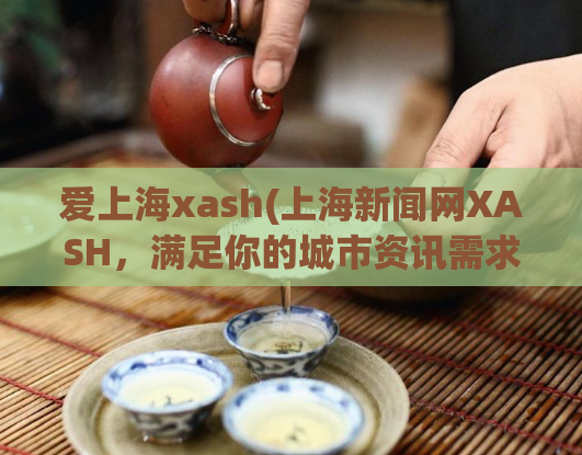 爱上海xash(上海新闻网XASH，满足你的城市资讯需求)
