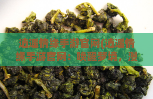 逍遥情缘手游官网(逍遥情缘手游官网：唤醒梦境，漫游江湖)