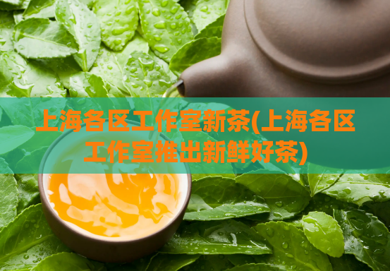 上海各区工作室新茶(上海各区工作室推出新鲜好茶)