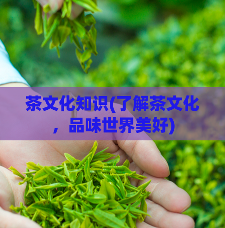 茶文化知识(了解茶文化，品味世界美好)