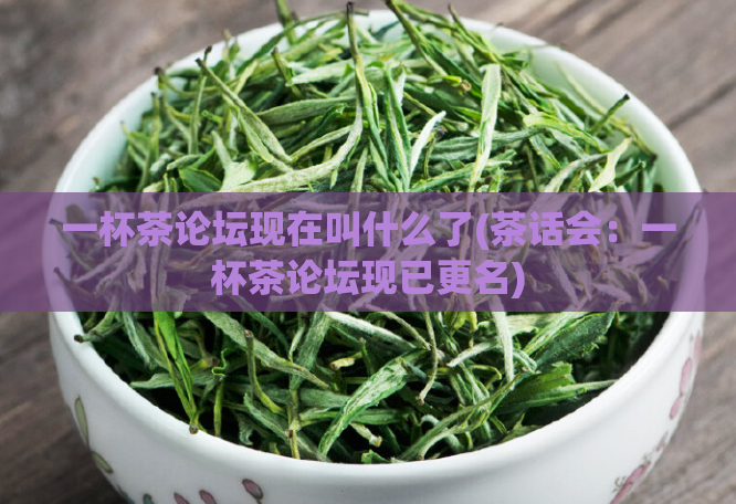 一杯茶论坛现在叫什么了(茶话会：一杯茶论坛现已更名)