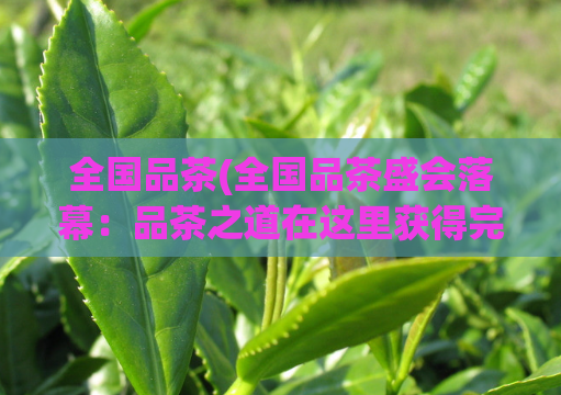 全国品茶(全国品茶盛会落幕：品茶之道在这里获得完美体验！)