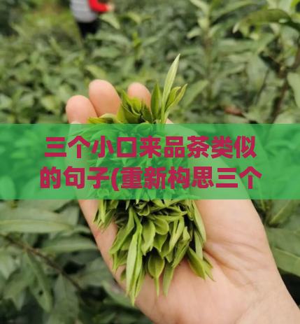 三个小口来品茶类似的句子(重新构思三个小口引发的品茶体验——探索茶叶世界的奥秘)