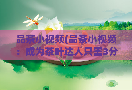品茶小视频(品茶小视频：成为茶叶达人只需3分钟)