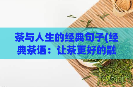 茶与人生的经典句子(经典茶语:让茶更好的融入人生)