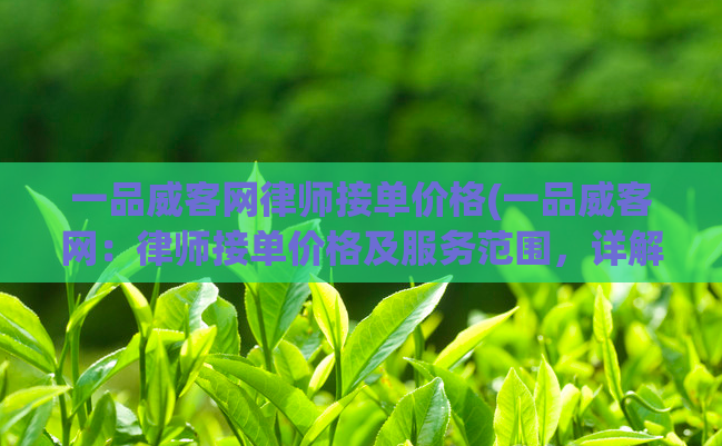 一品威客网律师接单价格(一品威客网：律师接单价格及服务范围，详解！)