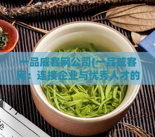 一品威客网公司(一品威客网：连接企业与优秀人才的平台)