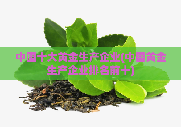 中国十大黄金生产企业(中国黄金生产企业排名前十)