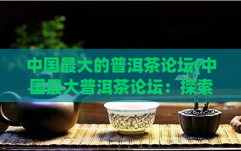中国最大的普洱茶论坛(中国最大普洱茶论坛:探索古树茶文化)