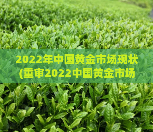 2022年中国黄金市场现状(重审2022中国黄金市场:新趋势,新机遇)