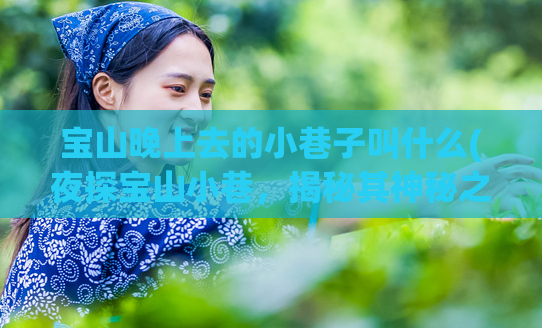 宝山晚上去的小巷子叫什么(夜探宝山小巷，揭秘其神秘之名)