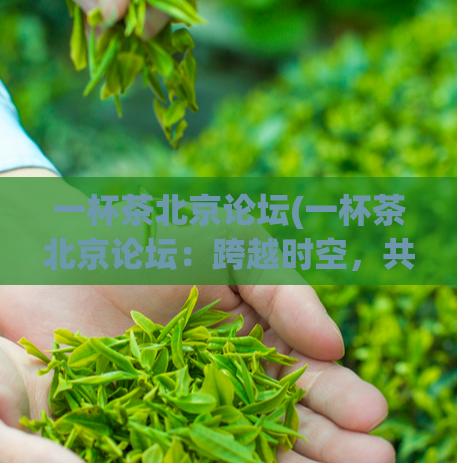 一杯茶北京论坛(一杯茶北京论坛：跨越时空，共谋合作)