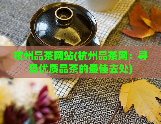杭州品茶网站(杭州品茶网：寻觅优质品茶的最佳去处)