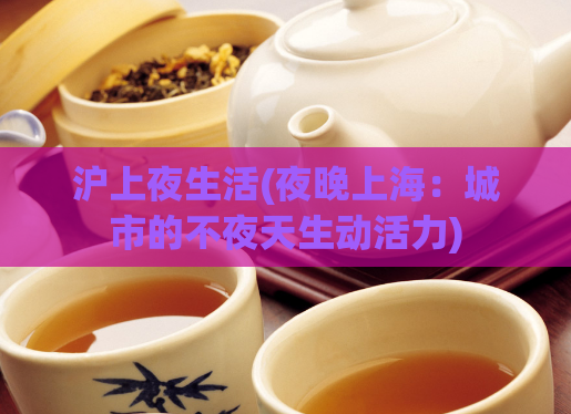 沪上夜生活(夜晚上海：城市的不夜天生动活力)