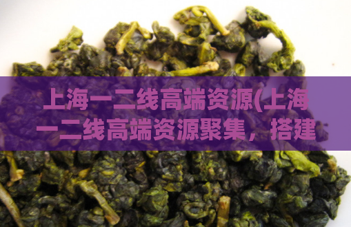 上海一二线高端资源(上海一二线高端资源聚集，搭建城市大平台)