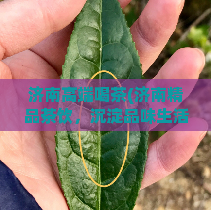 济南高端喝茶(济南精品茶饮，沉淀品味生活)