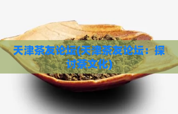 天津茶友论坛(天津茶友论坛：探讨茶文化)