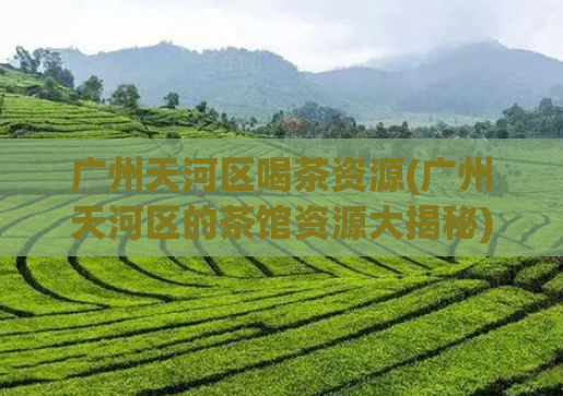 广州天河区喝茶资源(广州天河区的茶馆资源大揭秘)