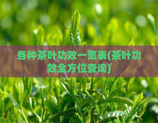 各种茶叶功效一览表(茶叶功效全方位查询)