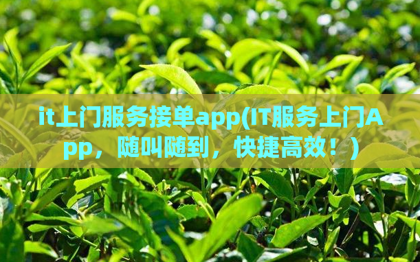 it上门服务接单app(IT服务上门App，随叫随到，快捷高效！)