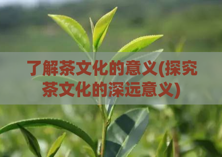 了解茶文化的意义(探究茶文化的深远意义)