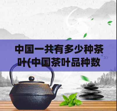 中国一共有多少种茶叶(中国茶叶品种数目统计)